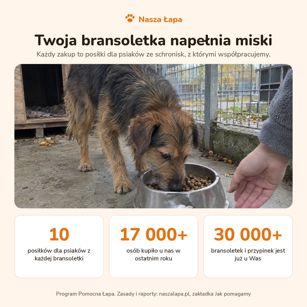 Bransoletka - Nocny Las pomaga psiakom ze schronisk