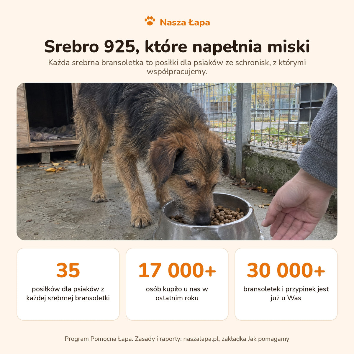 Bransoletka Srebrna 925 - Tęczowy Ślad pomaga psiakom ze schronisk