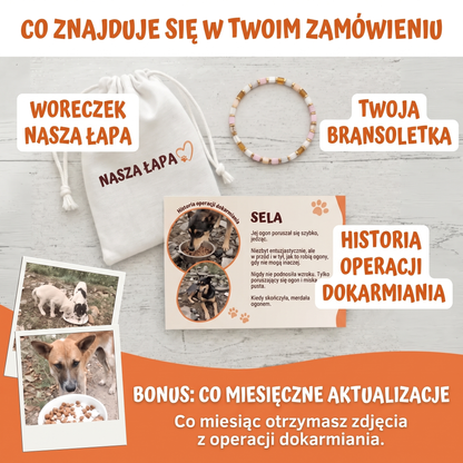 Bransoletka Miyuki Chai – Nasza Łapa