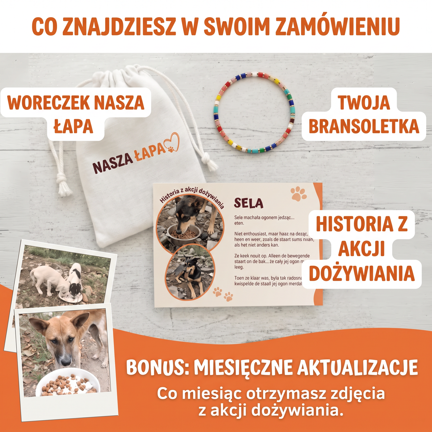 Bransoletka Miyuki Fiesta – Nasza Łapa