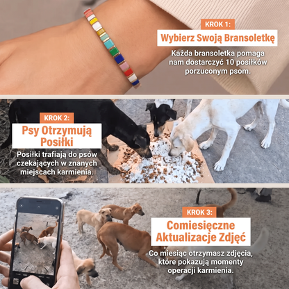 Bransoletka Miyuki Fiesta – Nasza Łapa