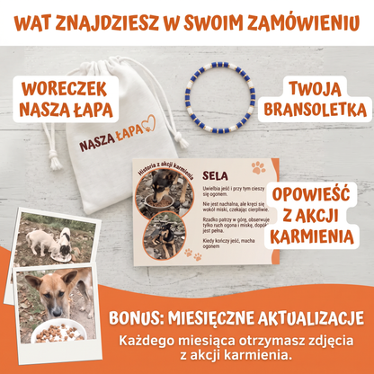Bransoletka Miyuki Morska – Nasza Łapa