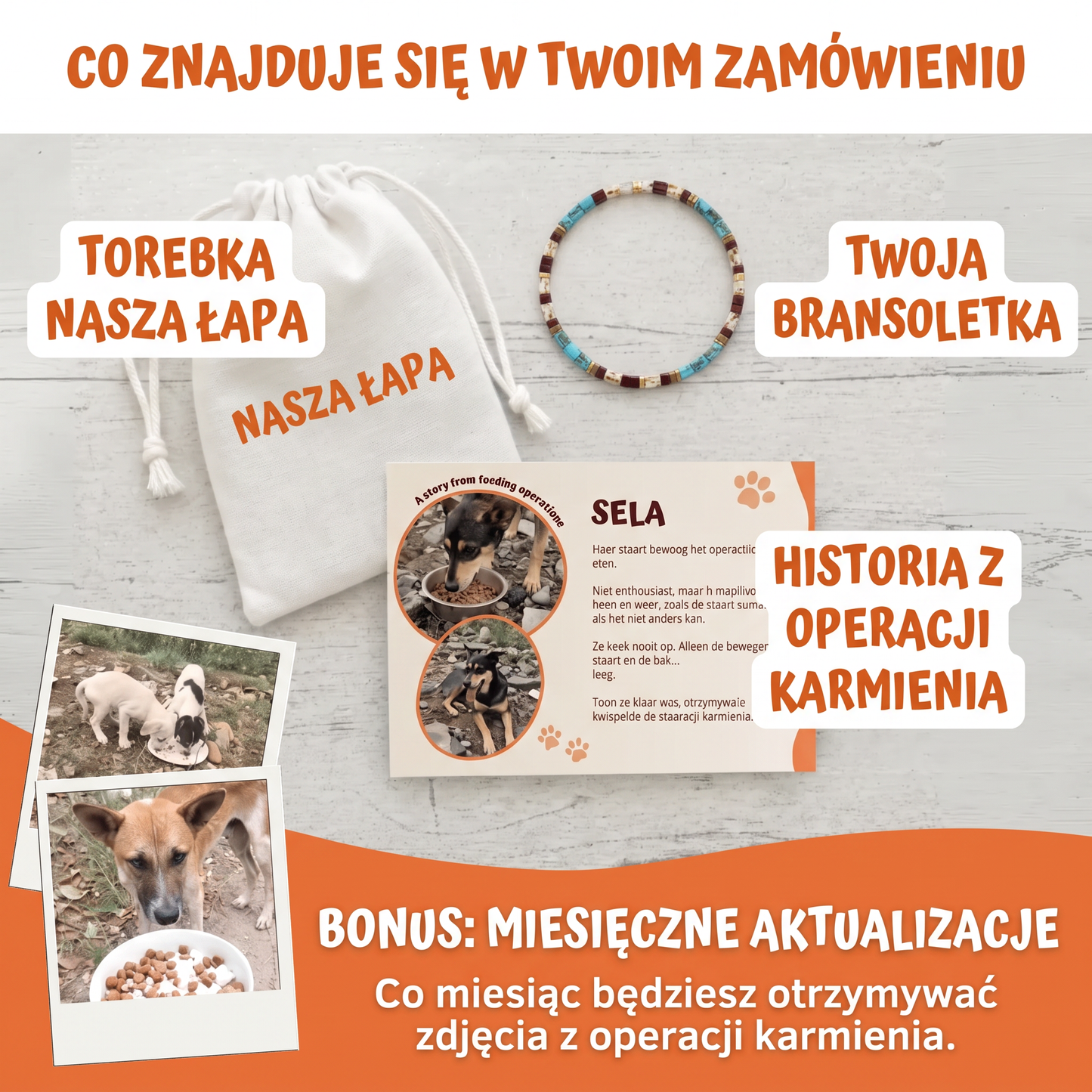 Bransoletka Miyuki Oaza – Nasza Łapa