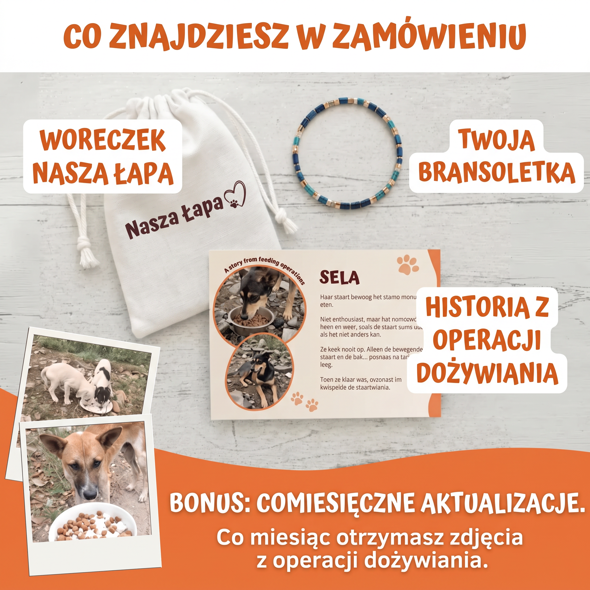 Bransoletka Miyuki Egejska – Nasza Łapa