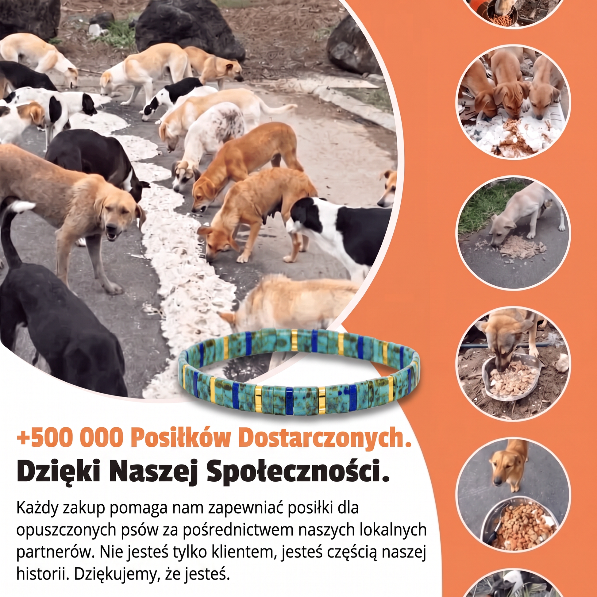Bransoletka Miyuki Azura – Nasza Łapa