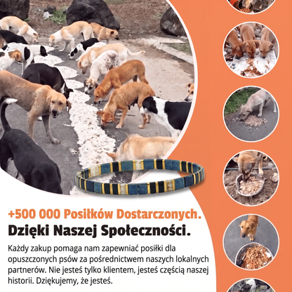Bransoletka Miyuki Nokturn – Nasza Łapa