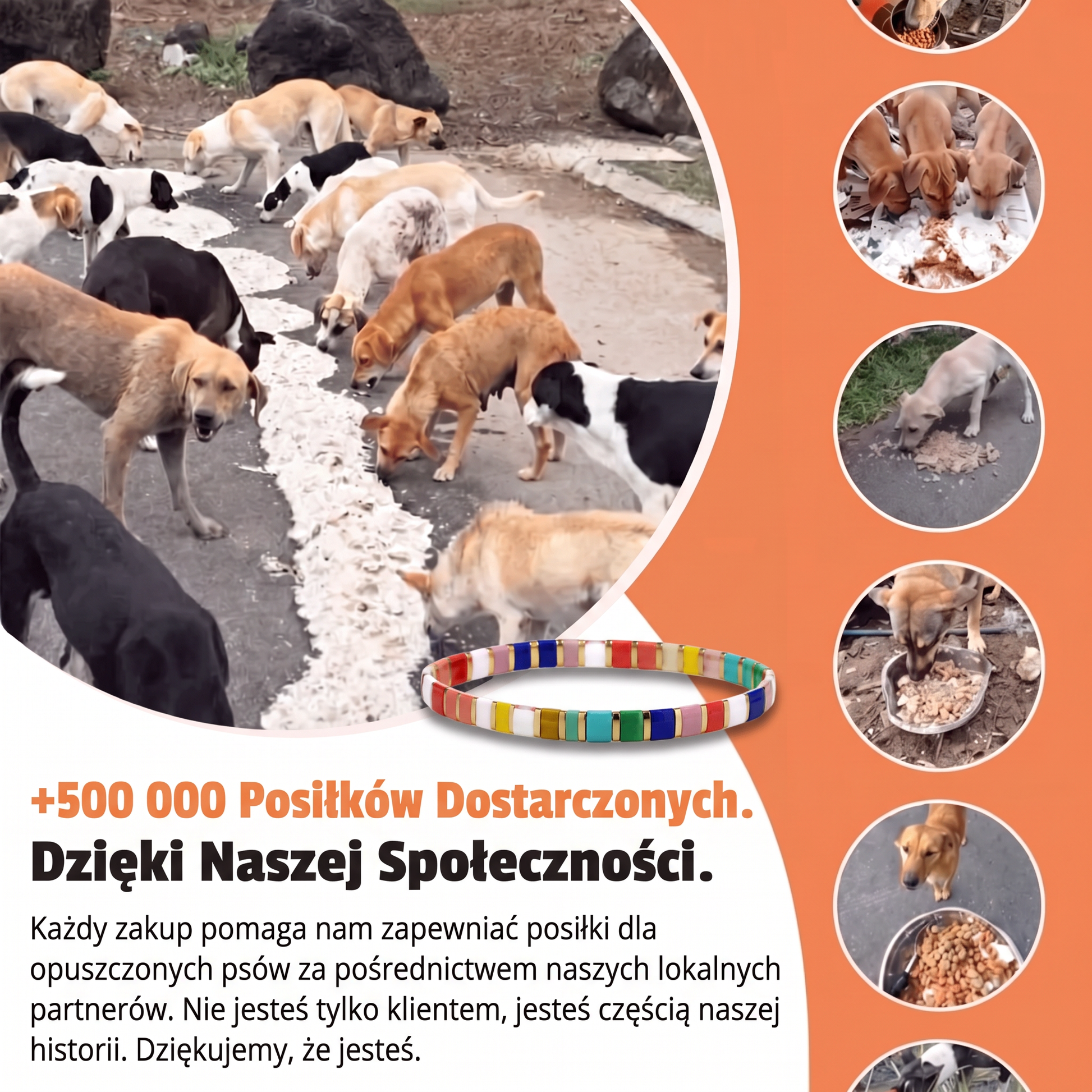Bransoletka Miyuki Fiesta – Nasza Łapa