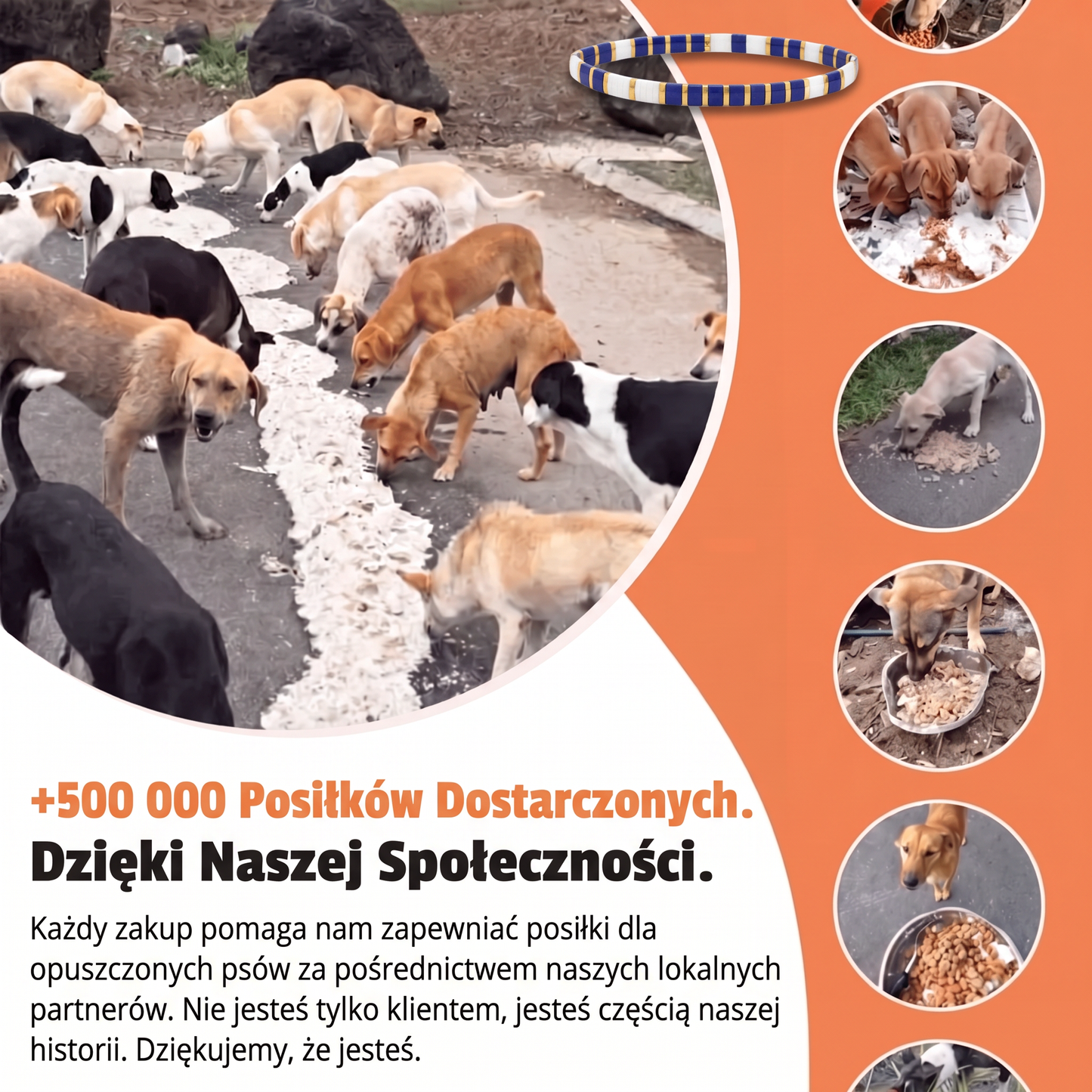 Bransoletka Miyuki Morska – Nasza Łapa