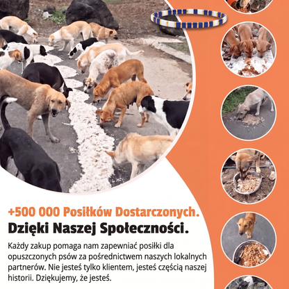 Bransoletka Miyuki Morska – Nasza Łapa