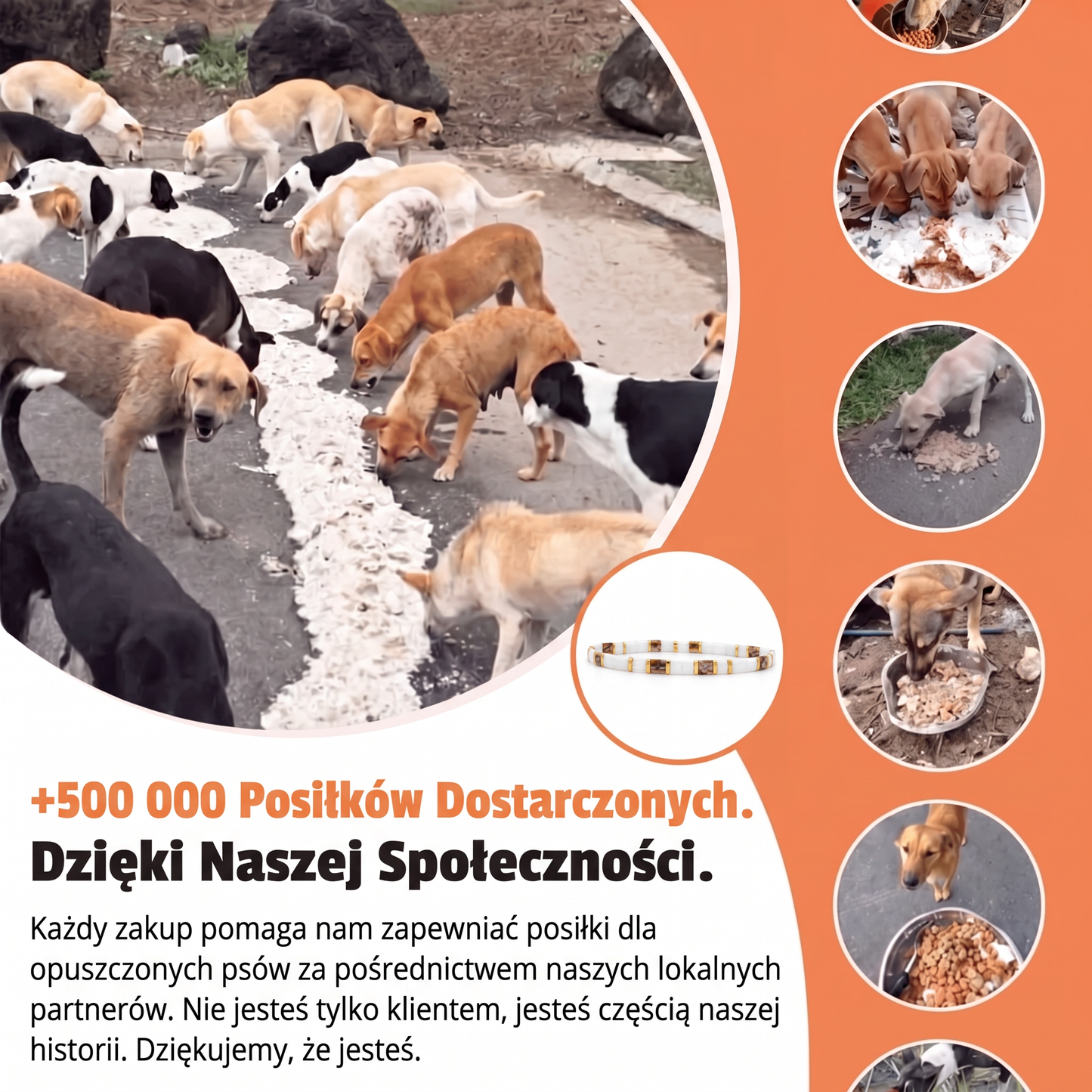 Bransoletka Miyuki Serena – Nasza Łapa