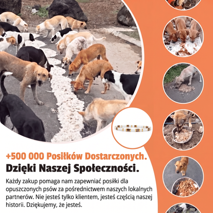Bransoletka Miyuki Serena – Nasza Łapa