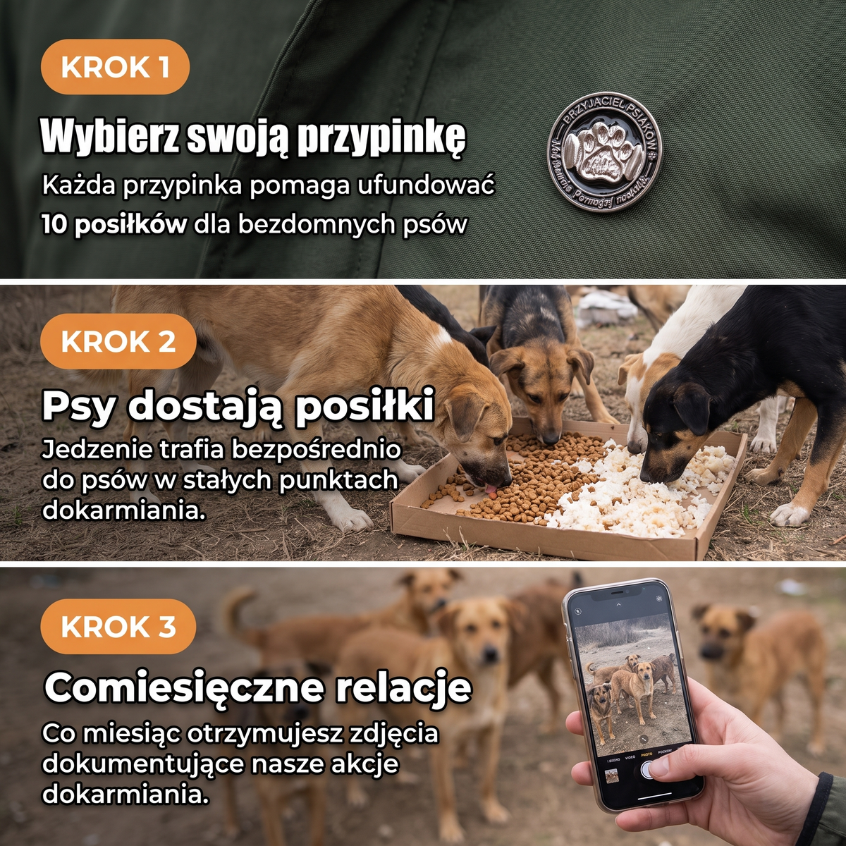 Jak Twoja przypinka pomaga - 3 kroki: wybierz, psy dostają posiłki, comiesięczne relacje