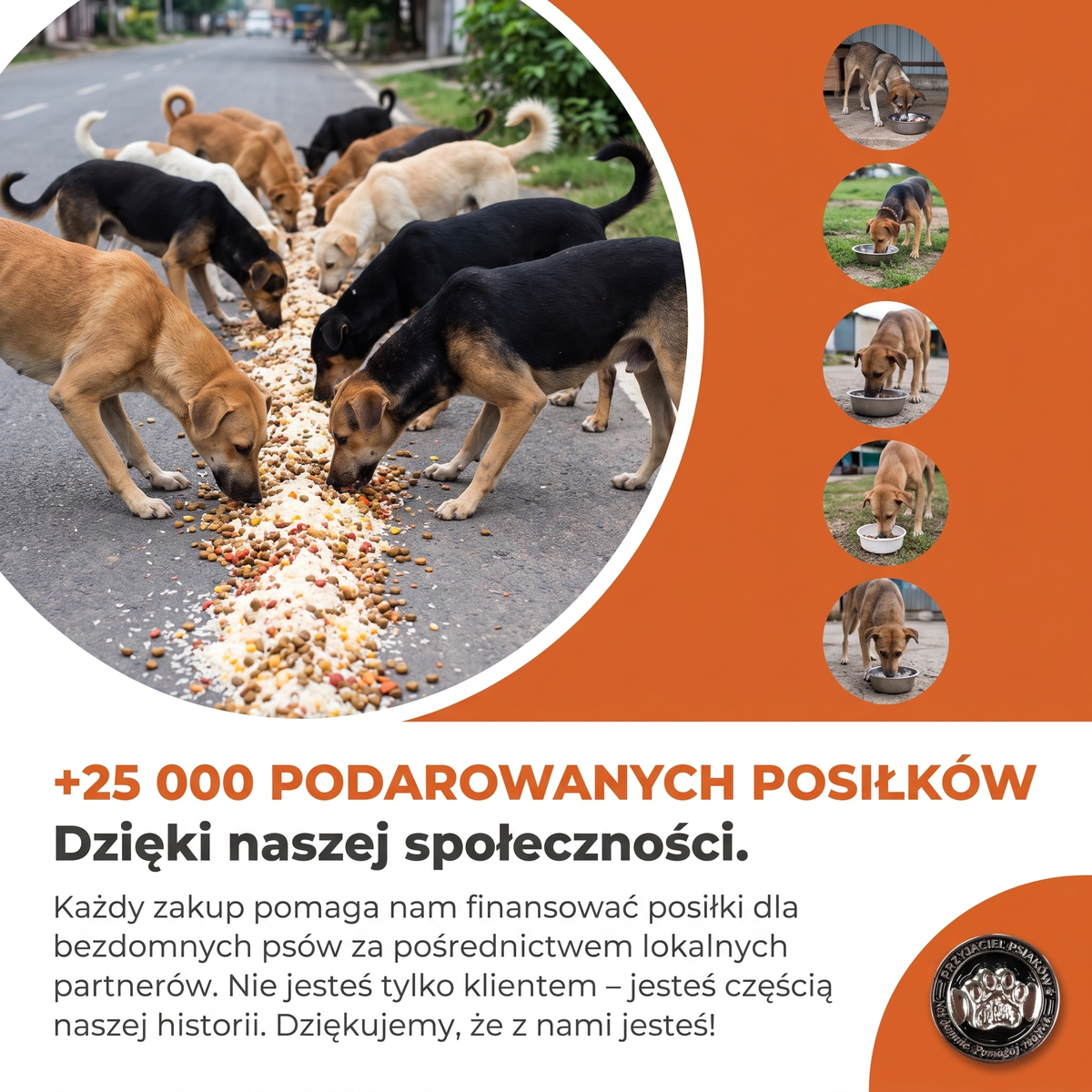 Ponad 25 000 podarowanych posiłków dzięki społeczności Nasza Łapa