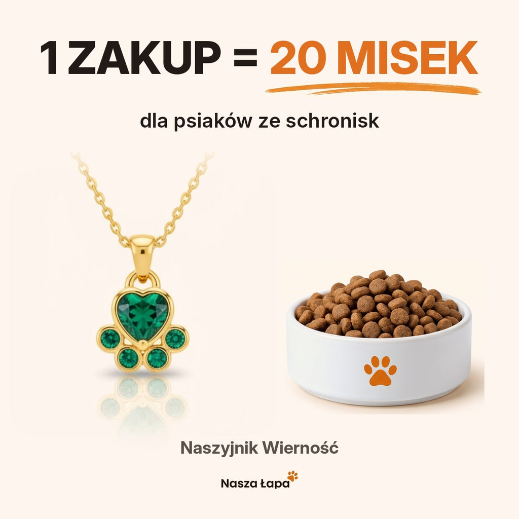 1 zakup = 20 misek dla psiaków ze schronisk — naszyjnik Wierność Nasza Łapa