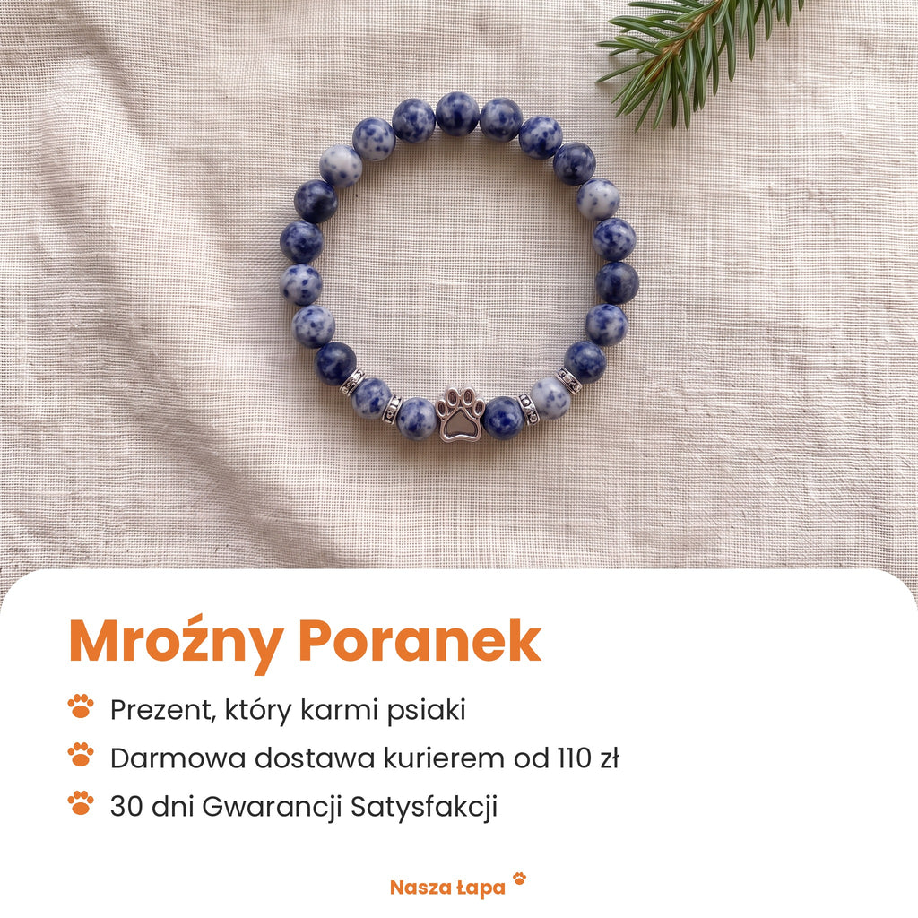 Bransoletka Mroźny Poranek od Nasza Łapa: prezent, który karmi psiaki, darmowa dostawa kurierem od 110 zł, 30 dni Gwarancji Satysfakcji