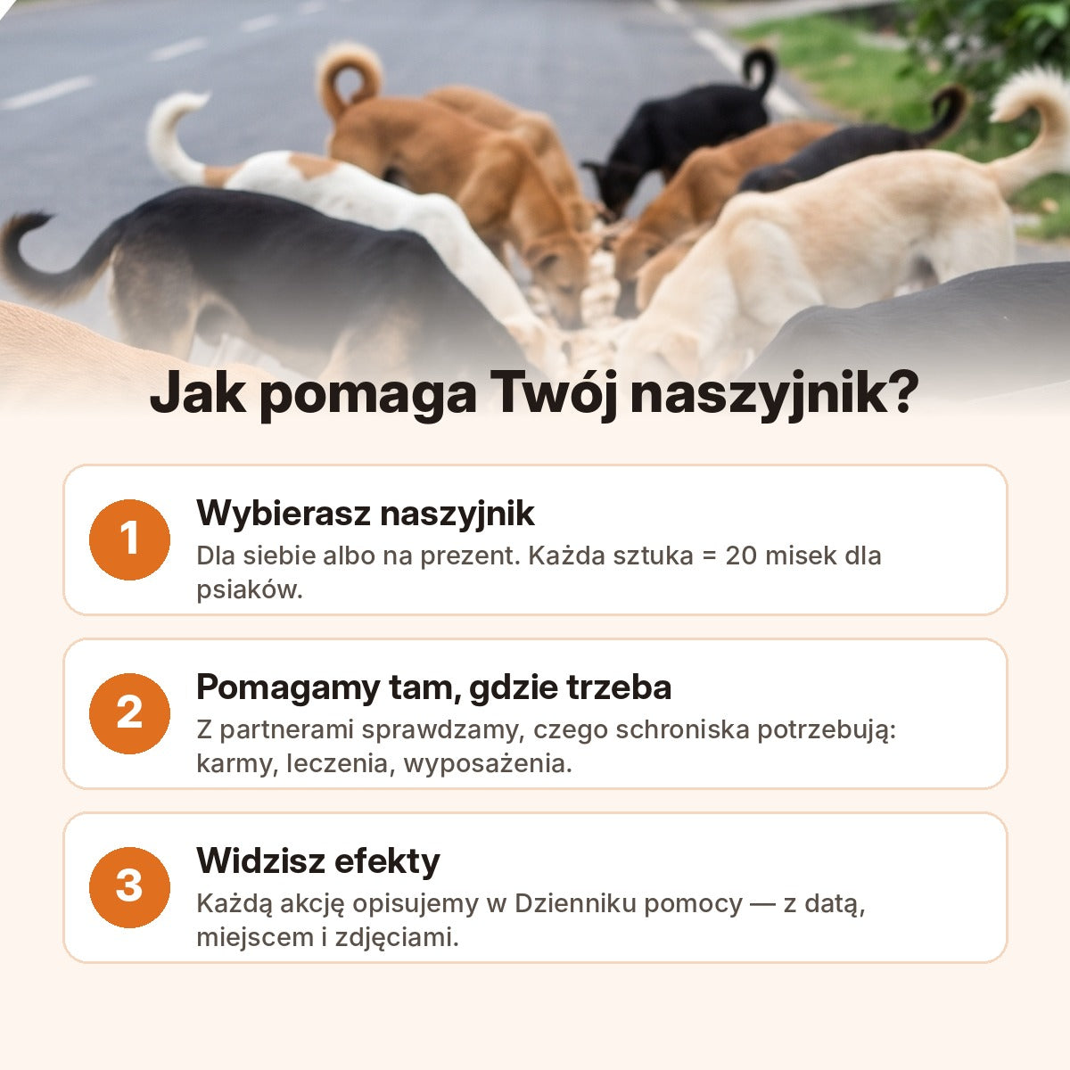Jak pomaga Twój naszyjnik — 3 kroki: wybierasz, pomagamy, widzisz efekty