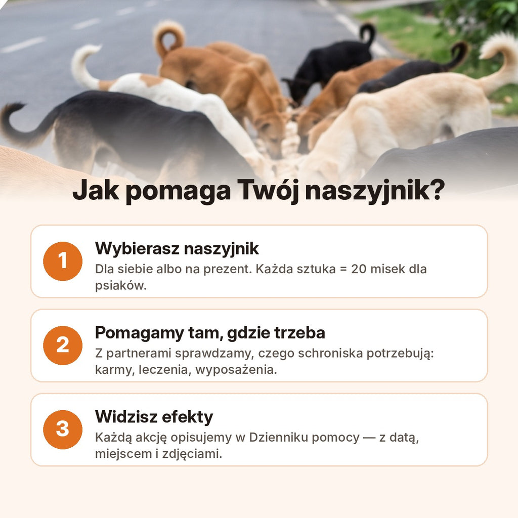 Jak pomaga Twój naszyjnik — 3 kroki: wybierasz, pomagamy, widzisz efekty